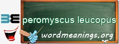 WordMeaning blackboard for peromyscus leucopus